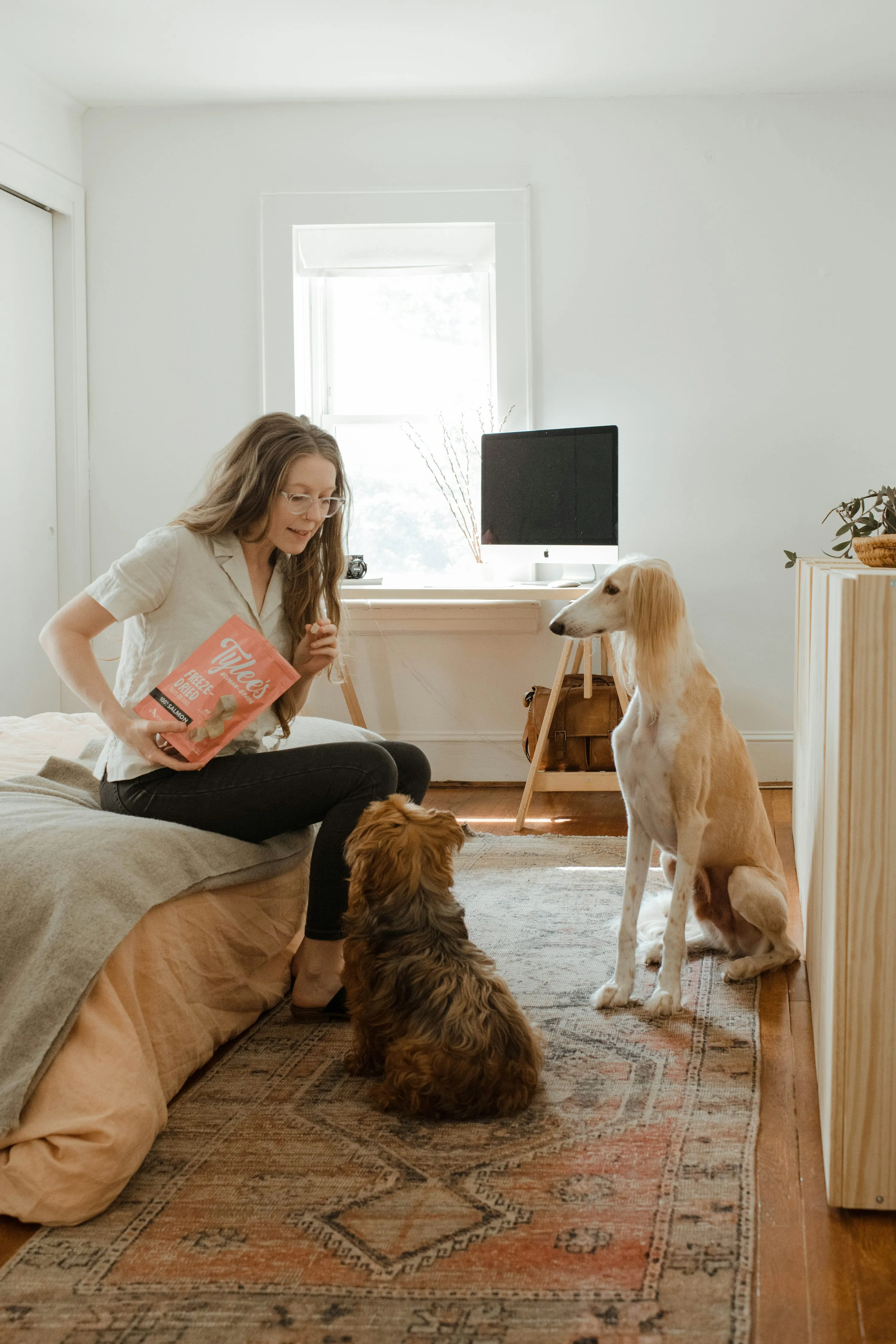 Pet sitting pas cher : 5 applis à tester